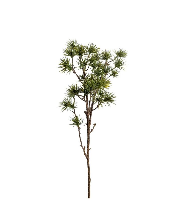 Lerkekvist 60 cm